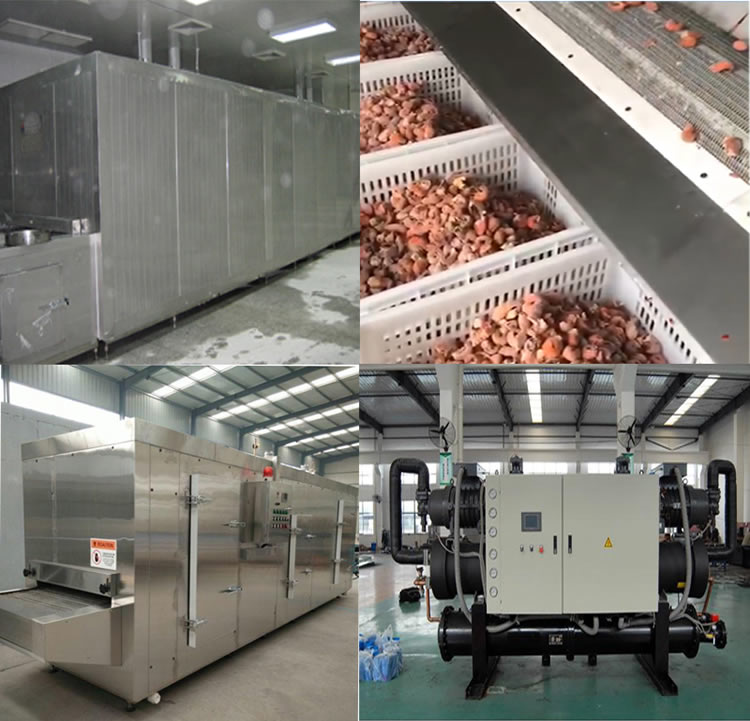 Food IQF tunnel type quick-freezing machine